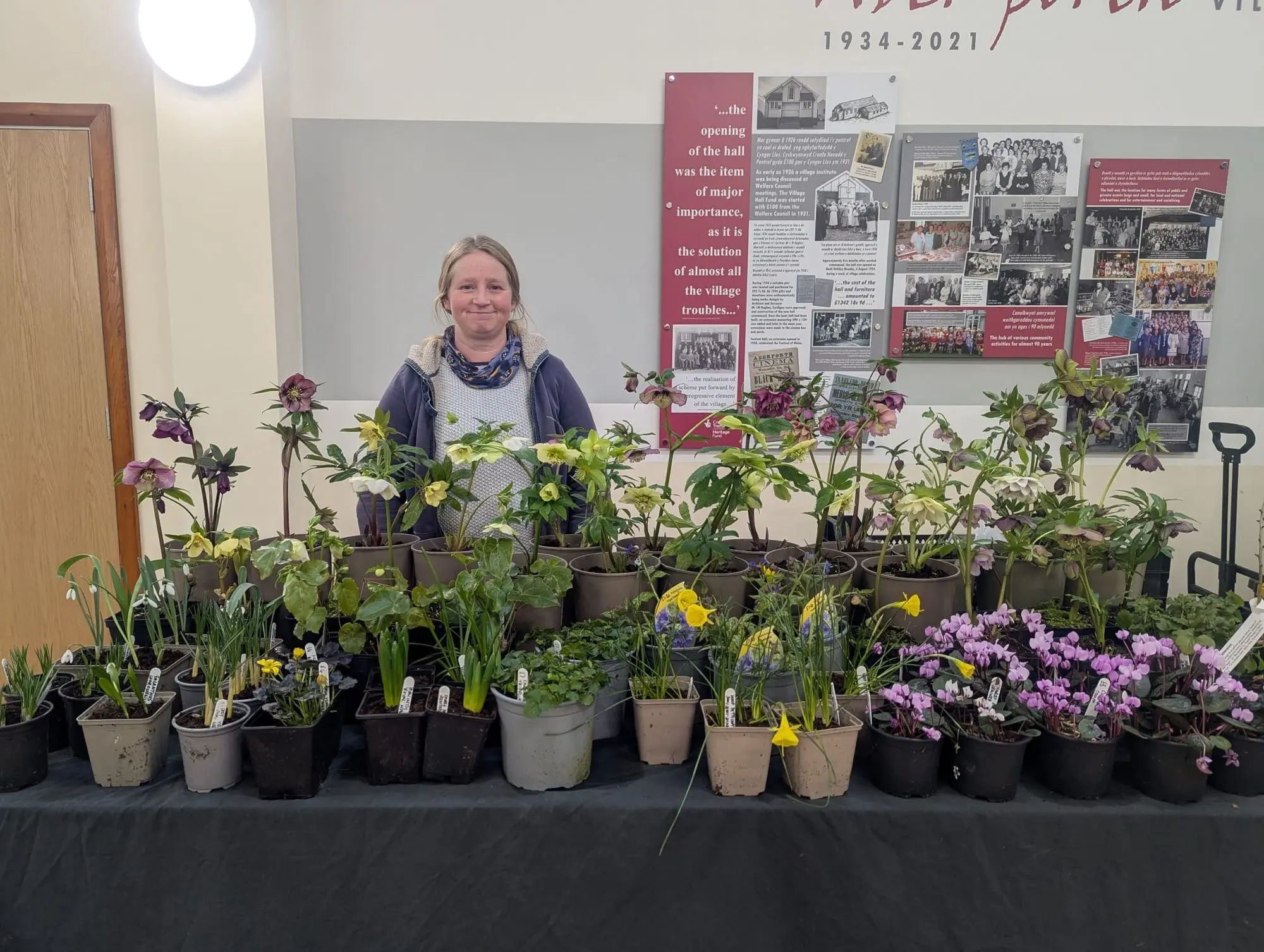 Potted plants for sale at the market